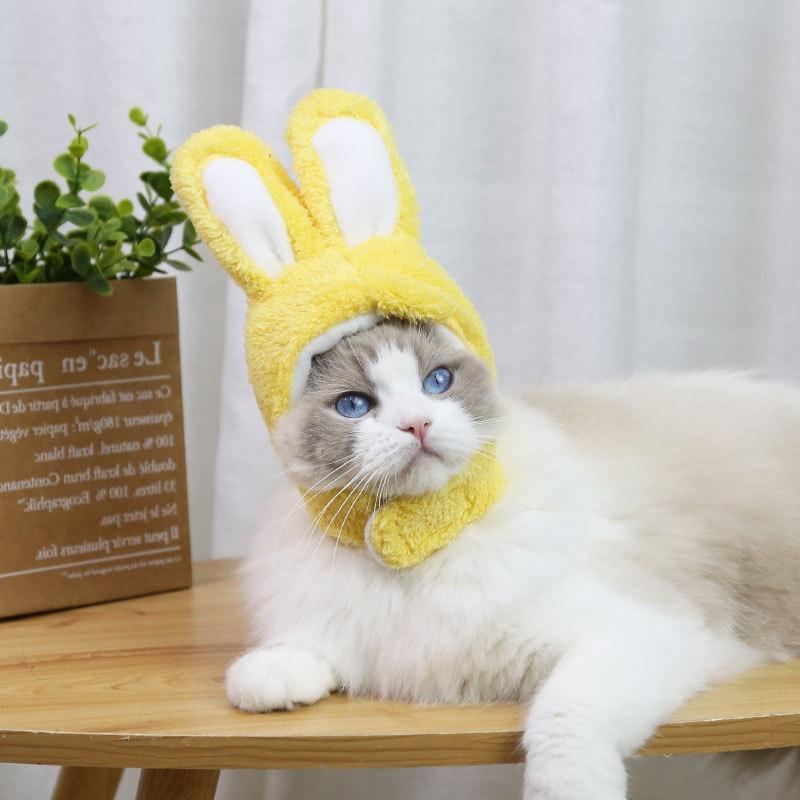 RabbitHat™ - Accessoire de déguisement pour chat - Cats universe